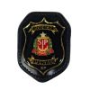 Distintivo Polícia Penal Novo Padrão