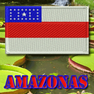 Bordado Bandeira Amazonas
