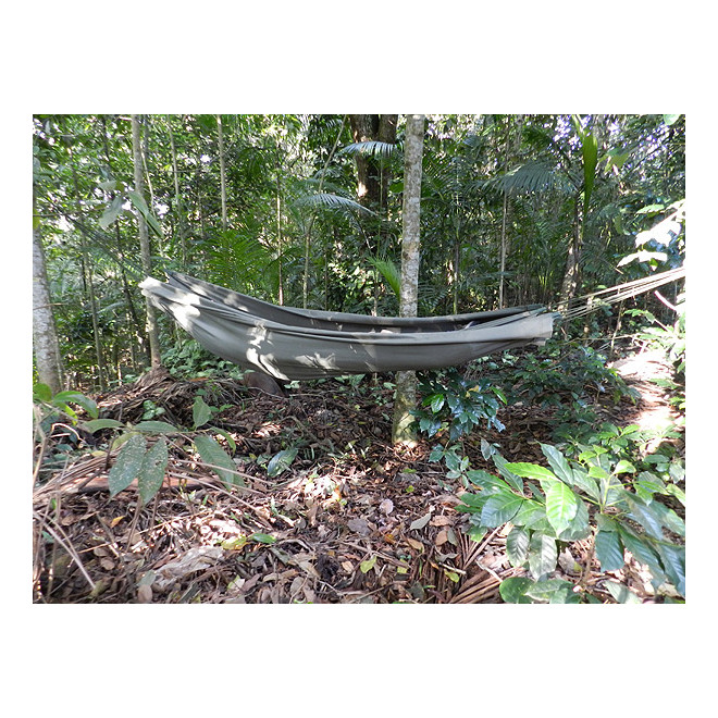 Rede Pescado - Verde