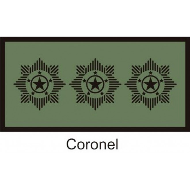 Divisa Aguia Coronel emborrachada
