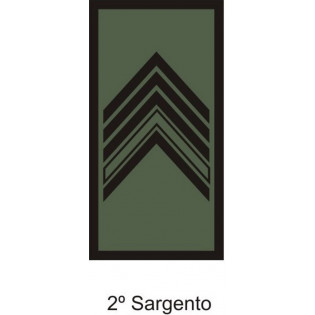 Divisa Aguia 2º Sargento emborrachada