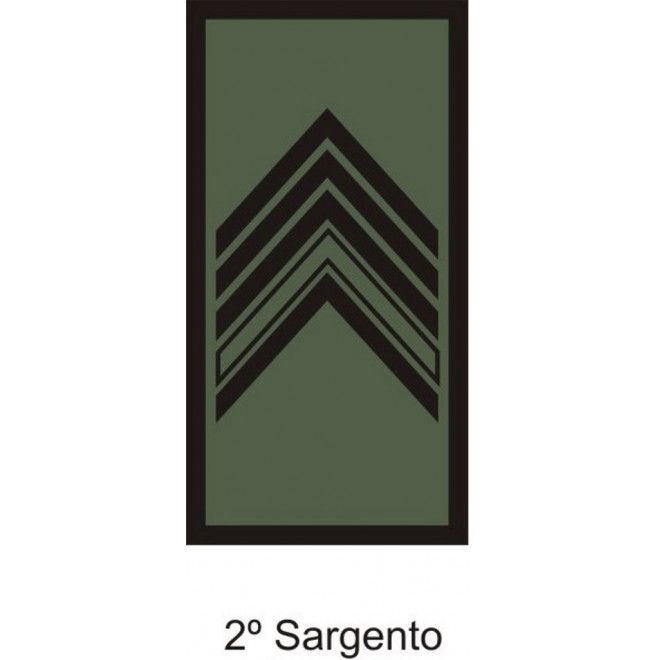 Divisa Aguia 2º Sargento emborrachada