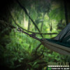 Rede de Selva Hunter - Verde